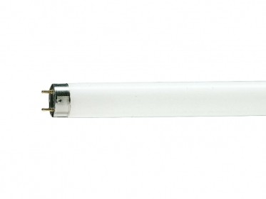 Лампа люминесцентная Philips TL-D 36W/33-640